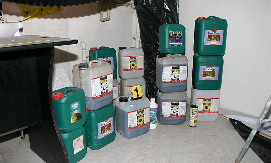 2010-8-18-1117 07 .jpg